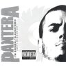 Pantera