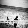 Toad the Wet Sprocket