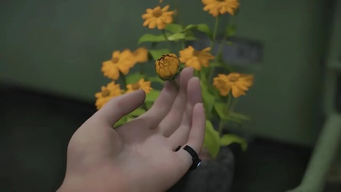 The Game Awards 2025