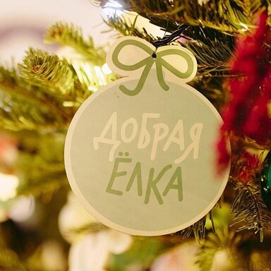 В Москве проходит акция «Добрая елка»