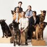 Portugal. The Man