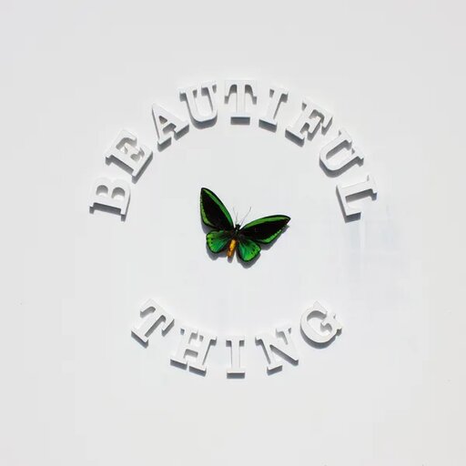 Beautiful Thing