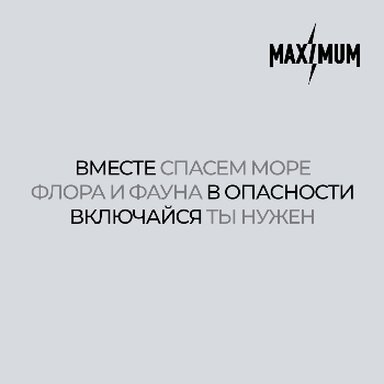 Экологическая катастрофа в Керченском проливе: ситуация, которую нельзя игнорировать