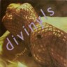 Divinyls