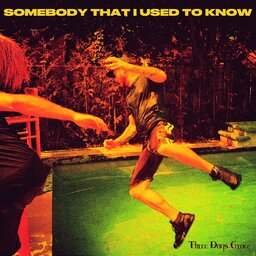 Somebody That I Used to Know