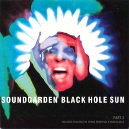 Black Hole Sun