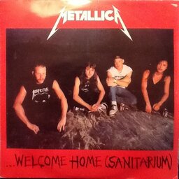 Welcome Home (Sanitarium)