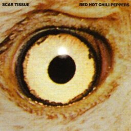 Scar Tissue