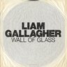 Liam Gallagher