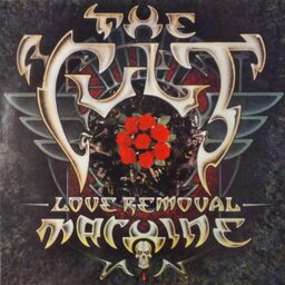 Love Removal Machine