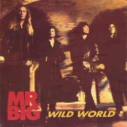 Wild World