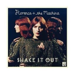 Shake It Out