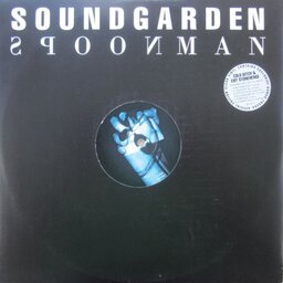 Spoonman