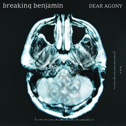 Dear Agony