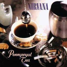 Pennyroyal Tea