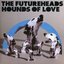 Hounds of Love