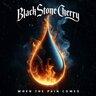 Black Stone Cherry