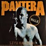 Pantera