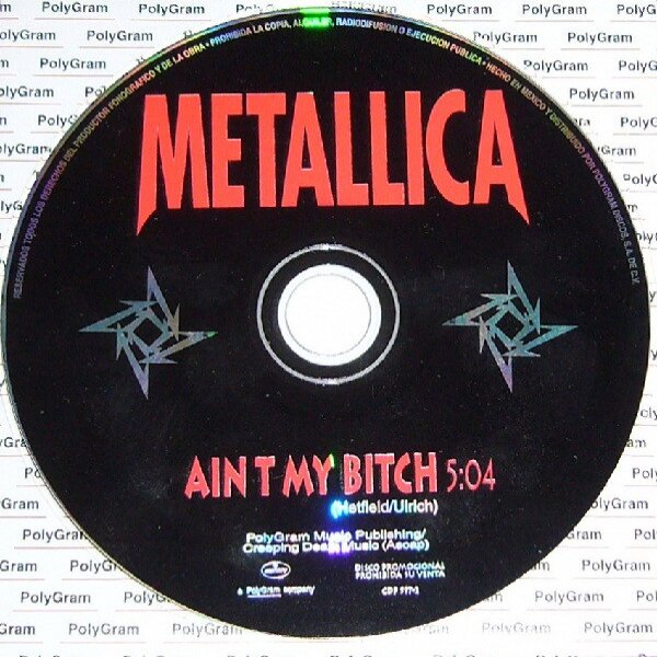 Ain't My Bitch